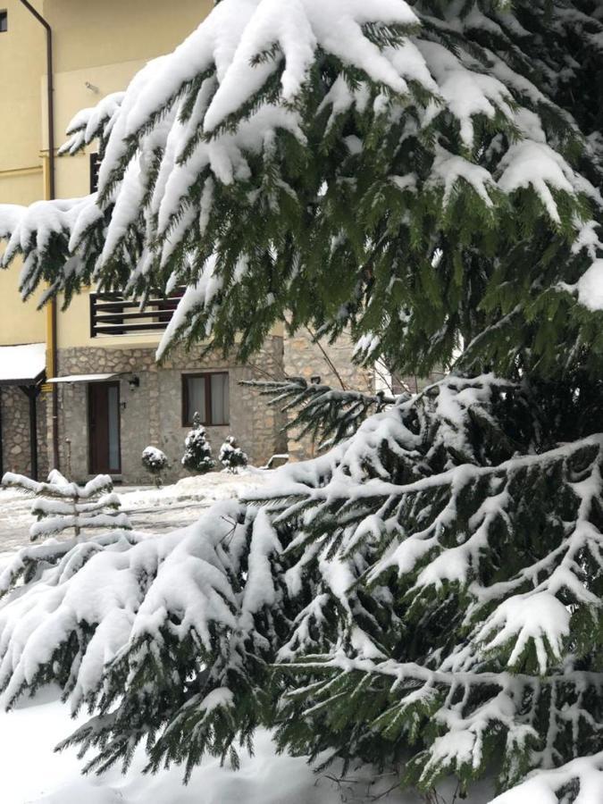 Apartamento Apartament Nicolle Poiana Brasov Exterior foto